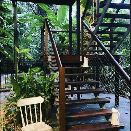 Treetops Retreat Cairns-3